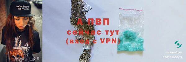 дмт Белокуриха