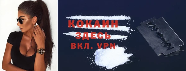 дмт Белокуриха