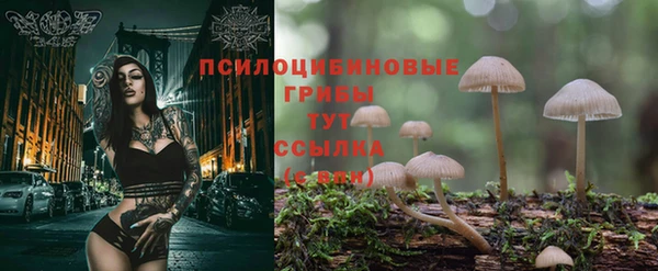 спайс Белоозёрский